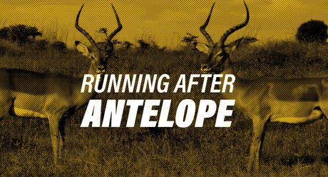 Running After Antelope - Tucker® USA